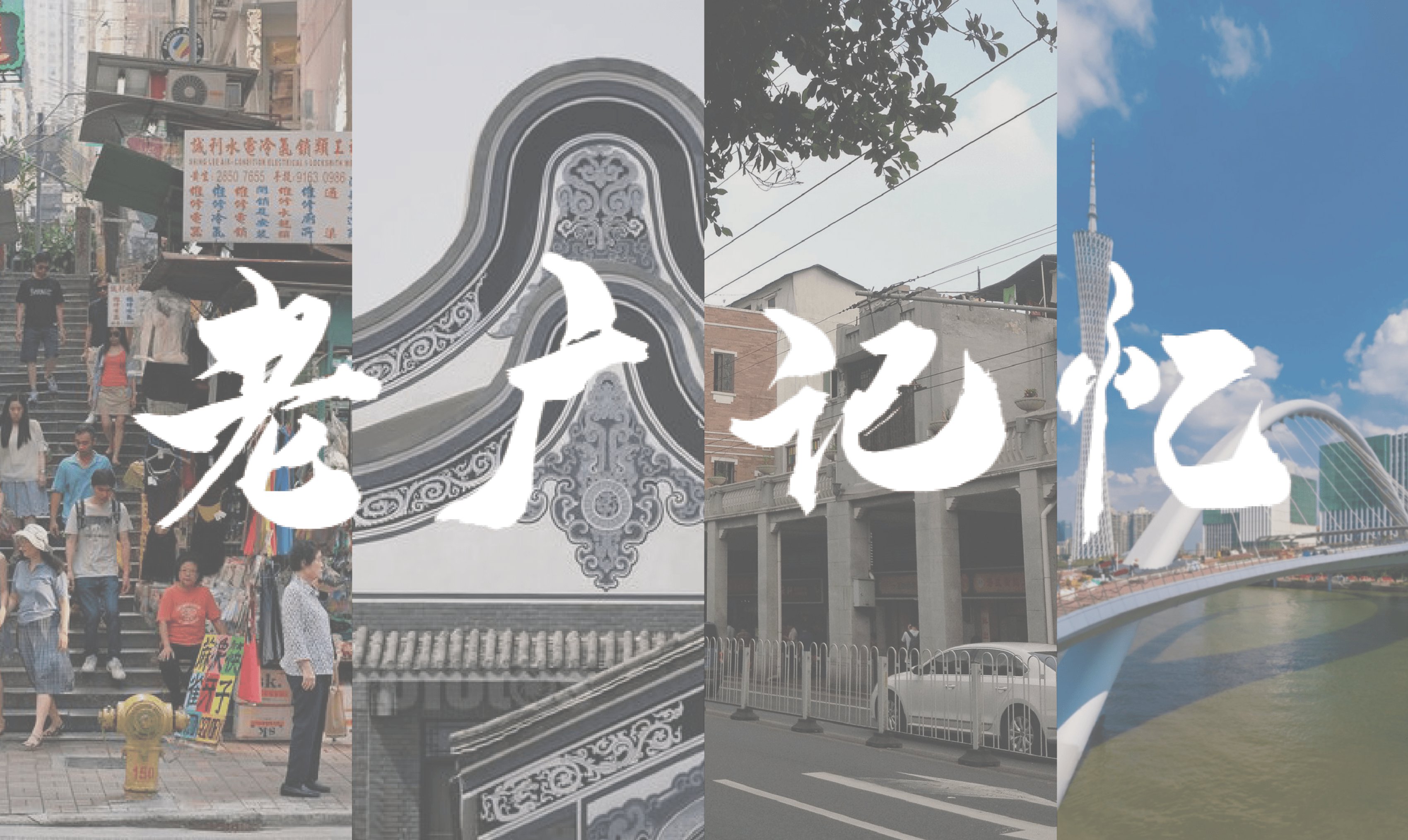 Parcelle n°33 Image 01